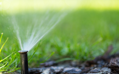 Watering During the Dormant Season