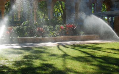 Why Choose an Irrigation System for Your Landscape