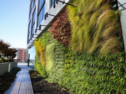 Gardens of Babylon - Commercial Properties-47