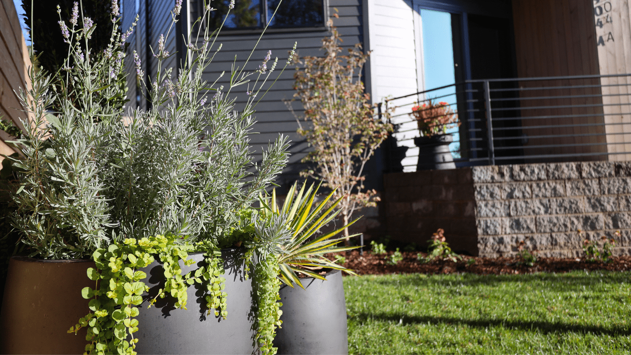 Sprinkler Maintenance