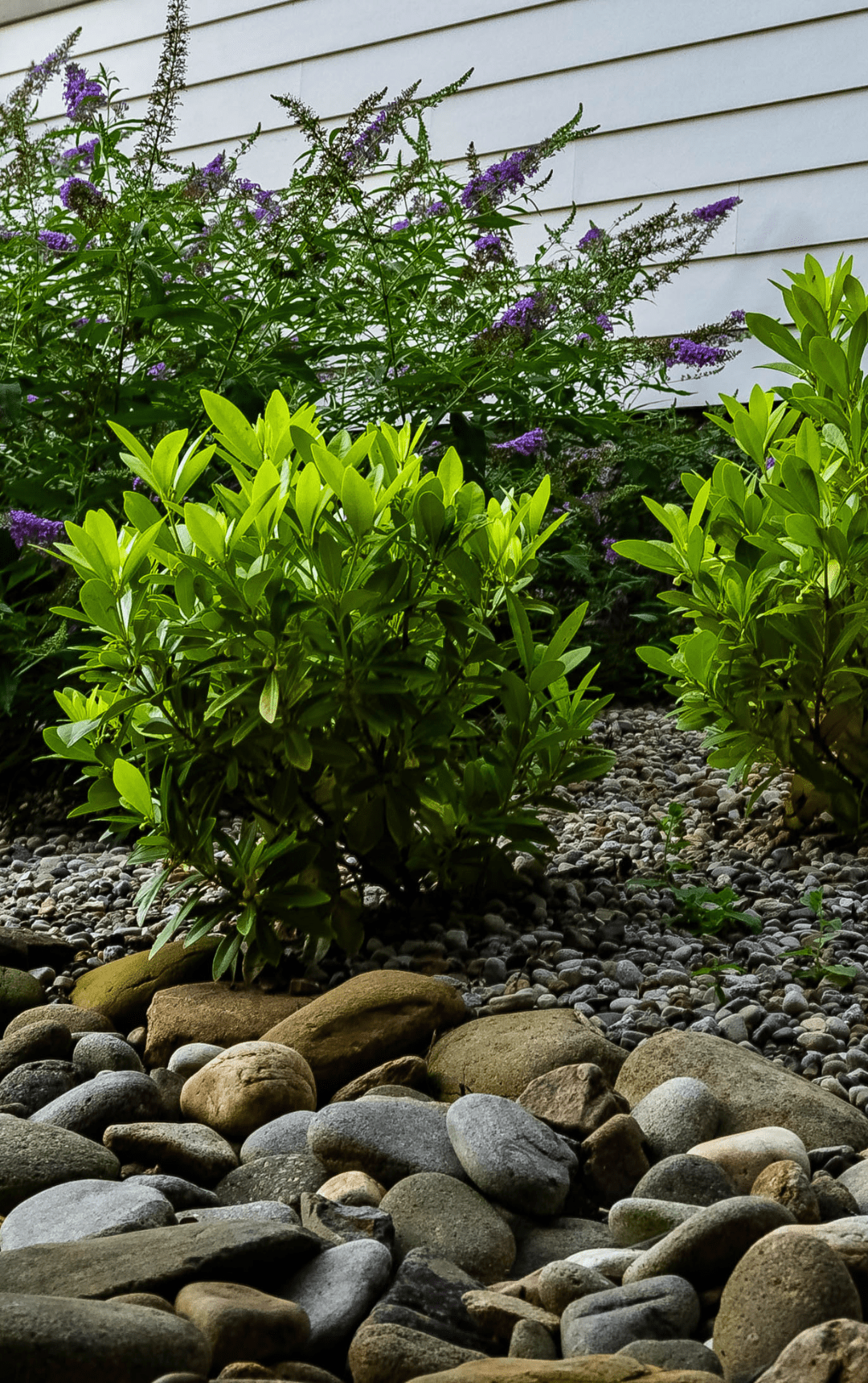 solutions for erosion and drainage